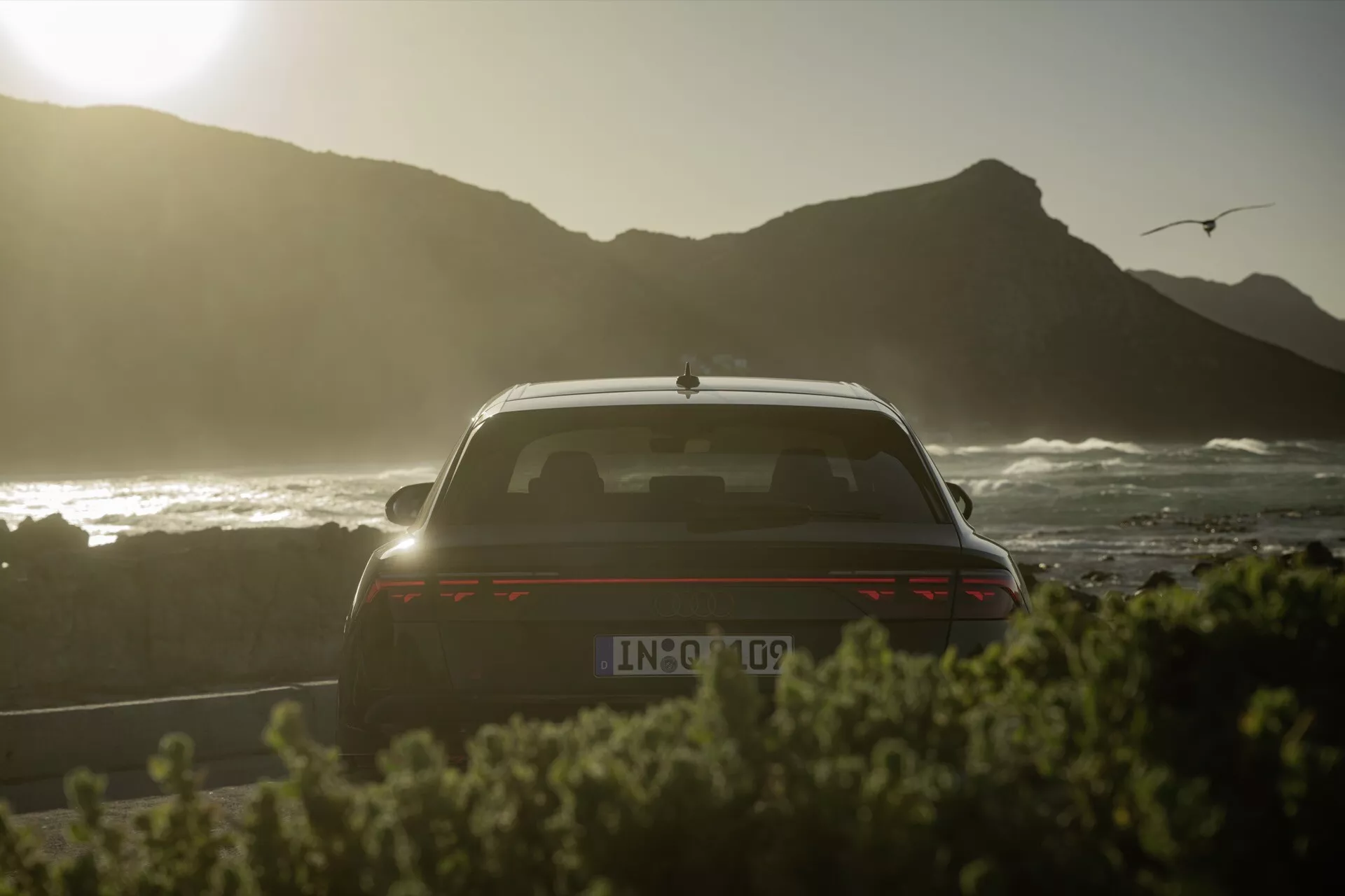 Tył Audi Q8 2023 (4M-Facelift) z widoczną klapą bagażnika, tylnym oknem, częścią dachu z siluetą przy zachodzie słońca, nadmorskim tłem z mewą, spoilera, oświetlonymi poziomymi światłami tylnymi, potencjalną kamerą cofania, i anteną w kształcie płetwy rekina