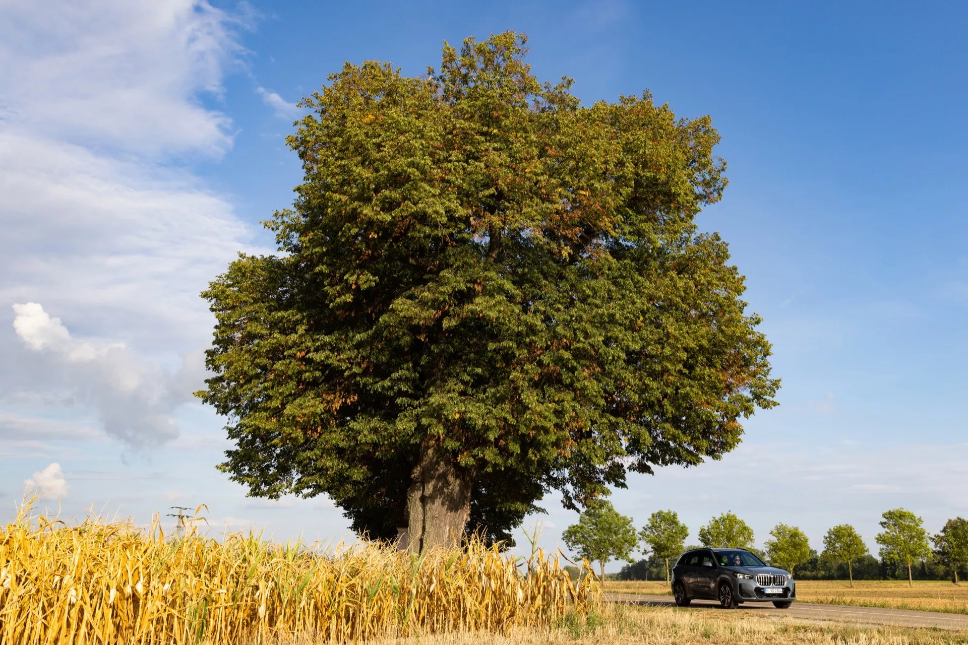 BMW X1 (U11) z 2022 roku zaparkowane na miejskiej ulicy pokazujące elegancki design i nowoczesne funkcje