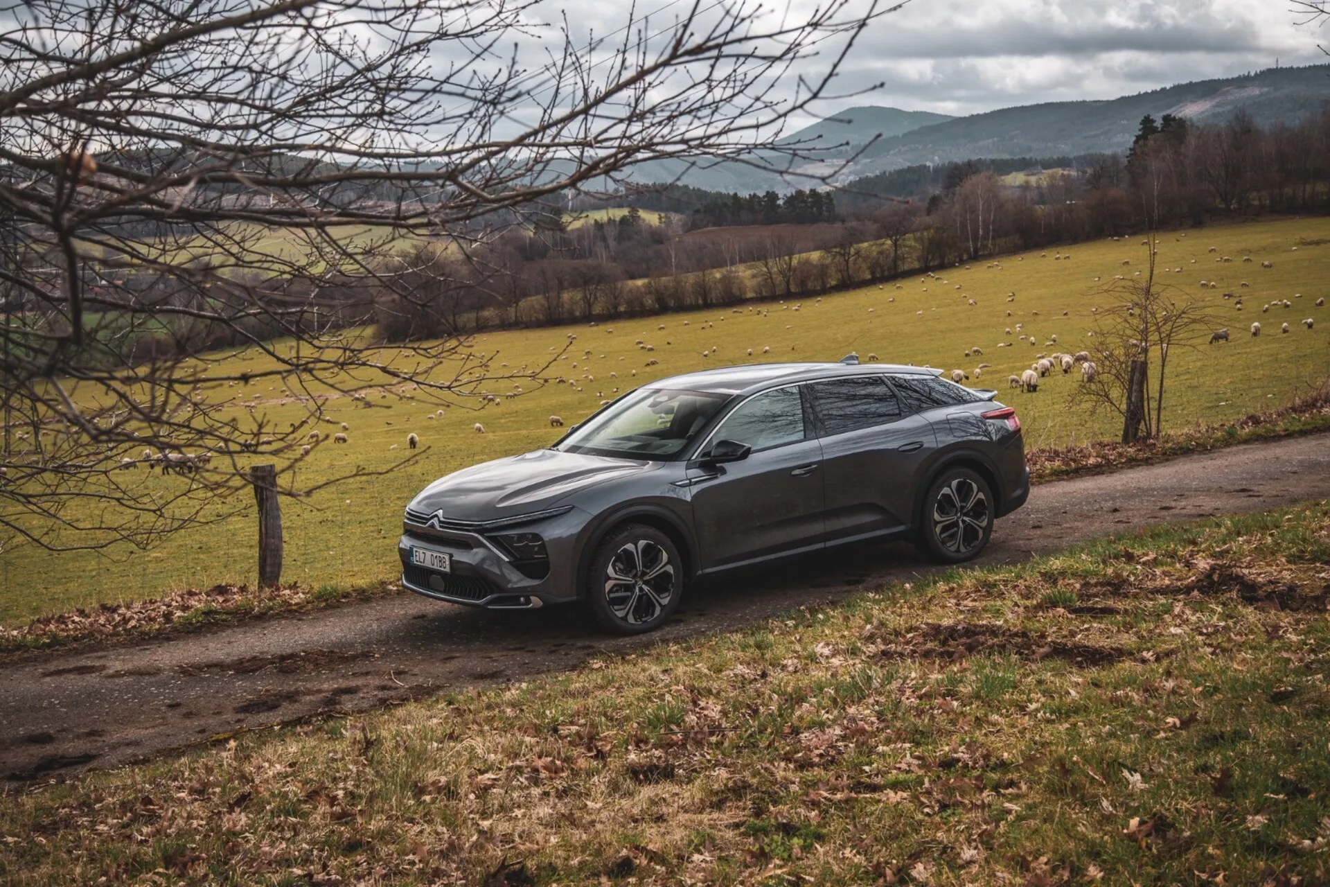 Citroën C5-X z 2022 roku zaparkowany po skosie na wiejskim krajobrazie z polaną trawiastą i drzewami, pokazujący jego podwyższony design crossovera, ostre linie nadwozia, ciemny kolor, felgi aluminiowe i reflektory LED