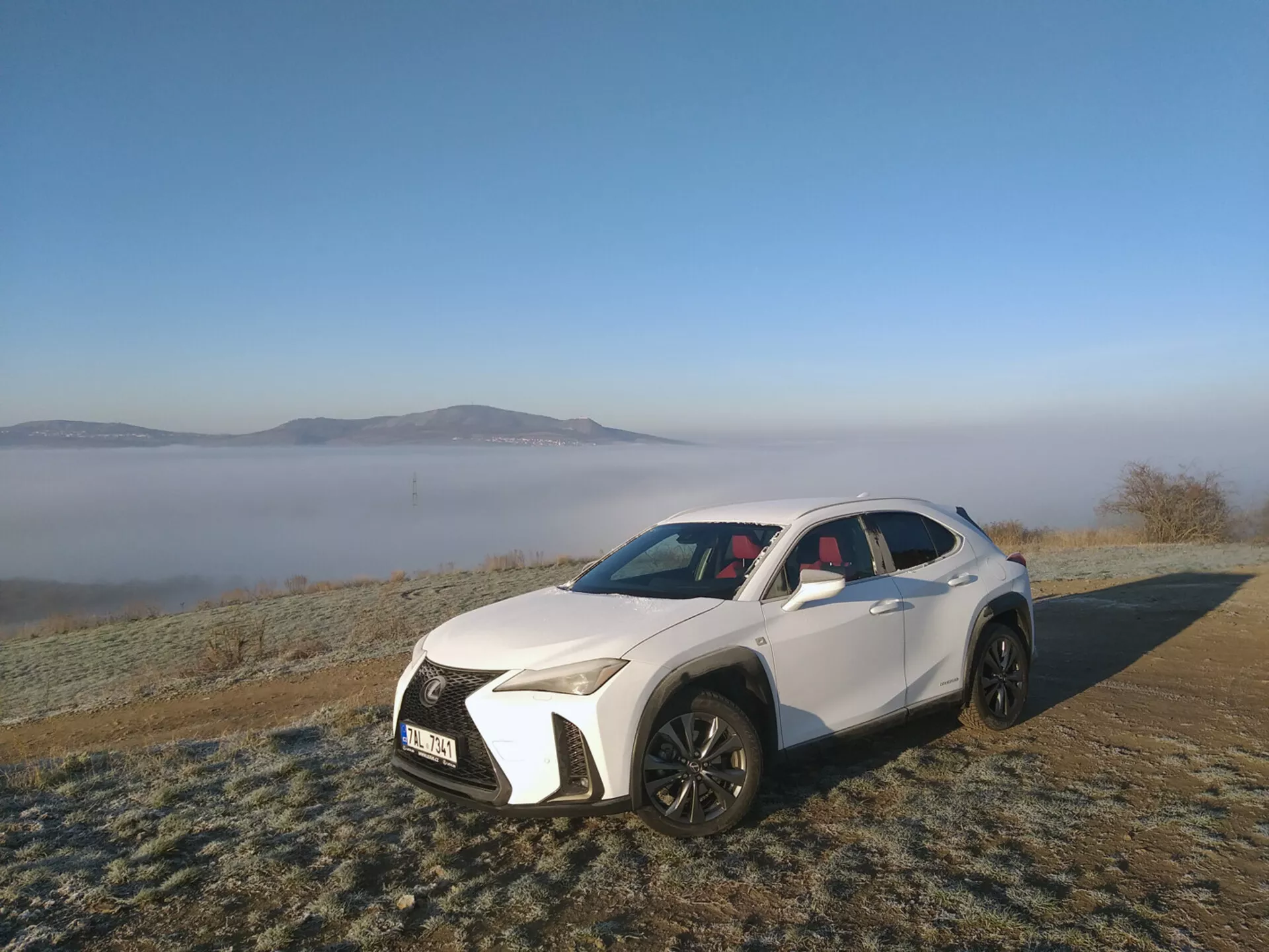 Biały sportowy samochód użytkowy Lexus UX 2019 zaparkowany na zewnątrz na trawie pokrytej szronem, pokazujący swoje kątowe światła LED, dużą grillę z wzorem siatki, sportowe wloty powietrza, konturowaną maskę, czarne felgi aluminiowe wieloramienne, panoramiczny dach oraz współczesne elementy designu na mglistym porannym tle.