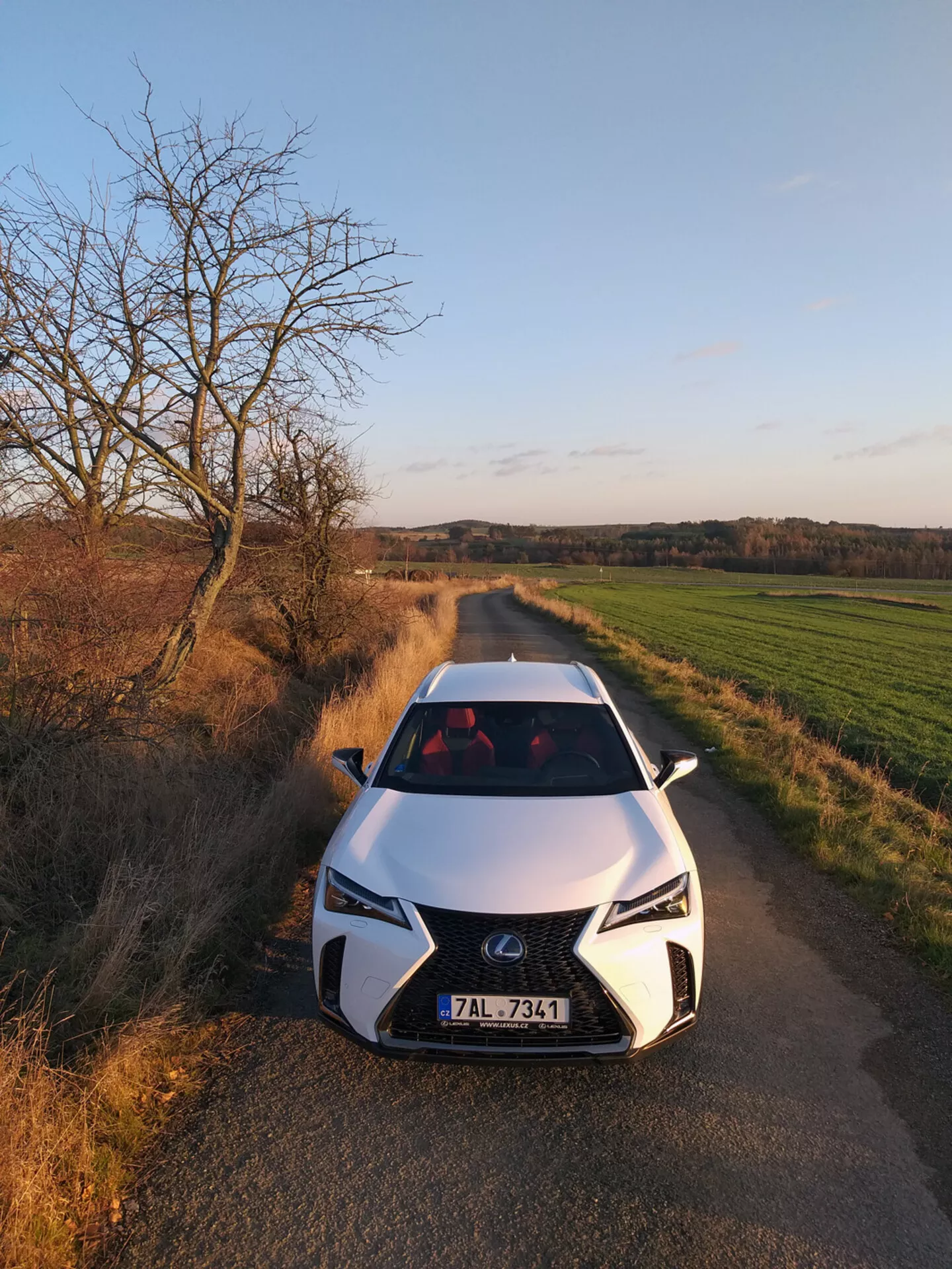 Lexus UX 2019 pokazany z wysokiego kąta czołowego na wiejskiej drodze, prezentujący atrapę w kształcie wrzeciona, reflektory LED i aerodynamiczny design maski sugerujący zaawansowaną technologię samochodową.