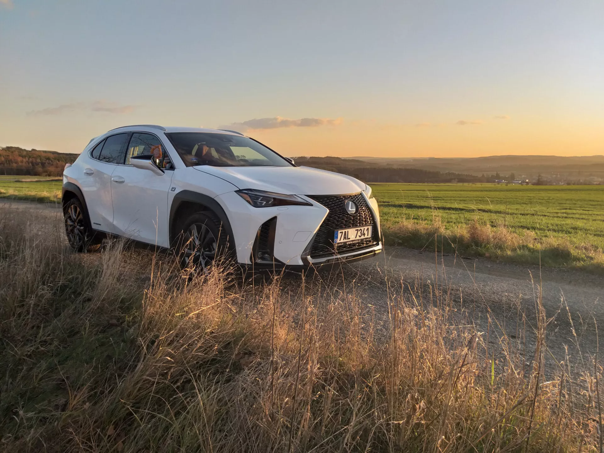 Kompaktowy luksusowy crossover Lexus UX 2019 w ruchu na miejskiej ulicy, prezentujący jego elegancki design i zaawansowane funkcje