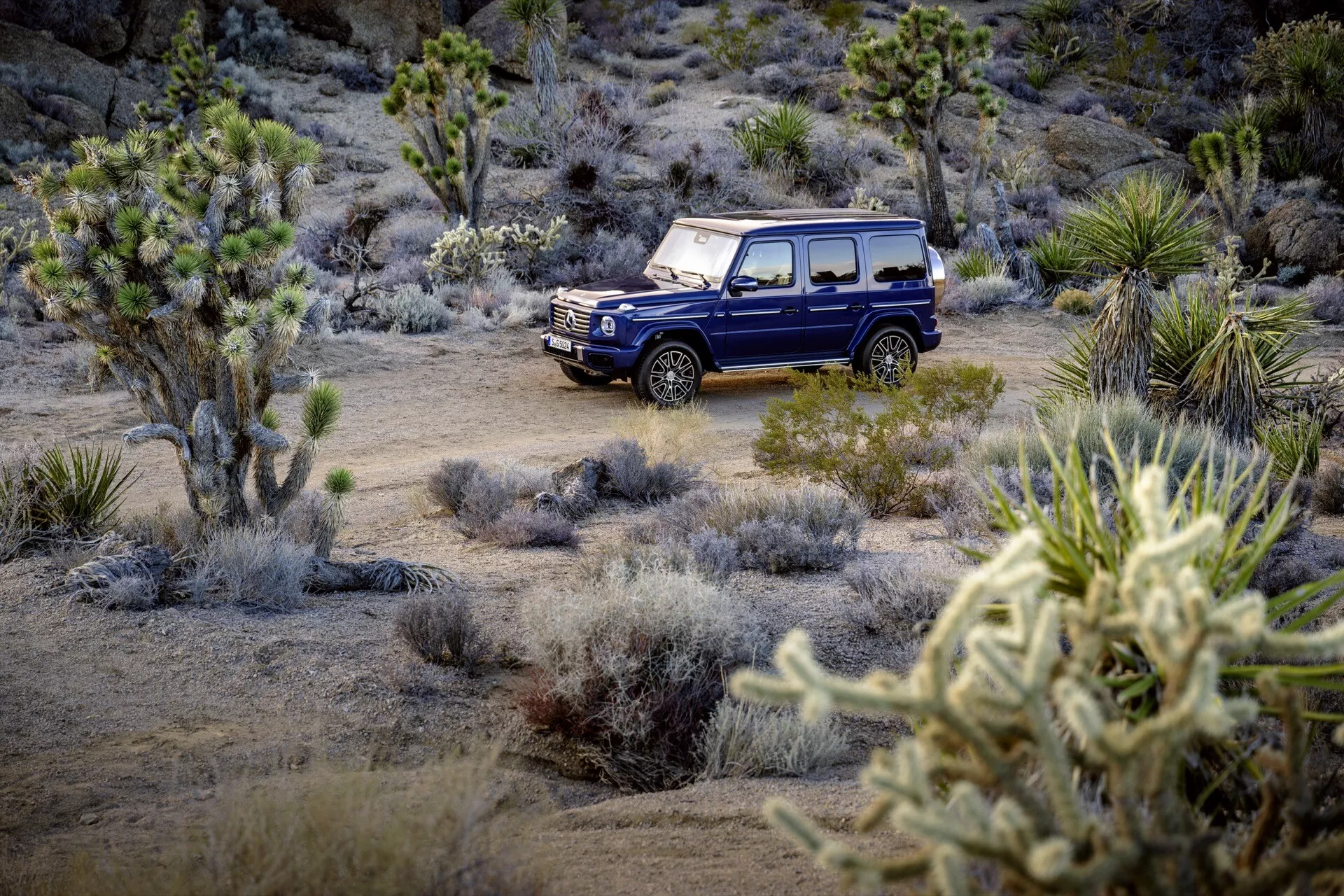 Mercedes-Benz Klasa G 2024 w kolorze niebieskim, z kwadratową i wytrzymałą konstrukcją, zaparkowany w terenie off-road wśród drzew Jozuego i krzewów na pustynnym krajobrazie, podkreślając wysoki prześwit, kwadratowe nadkola, okrągłe reflektory i silną linię bocznych.