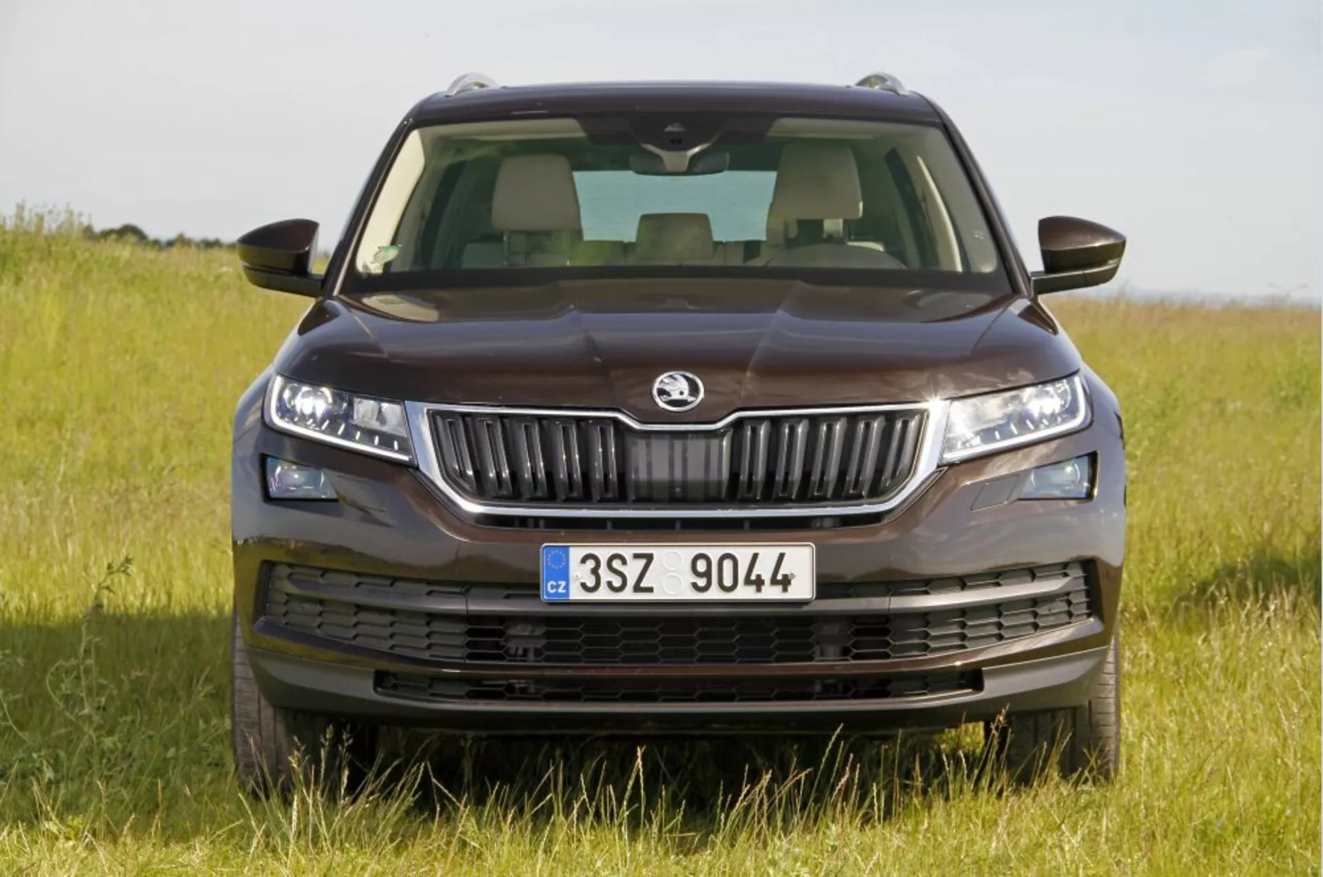 Frontalny widok vana Peugeot 5008 z 2013 roku prezentujący nowoczesny design z dominującą atrapą z logo producenta, ostrymi reflektorami LED, aerodynamiczną maską i dolnym zderzakiem z wlotami powietrza, na tle trawiastego krajobrazu