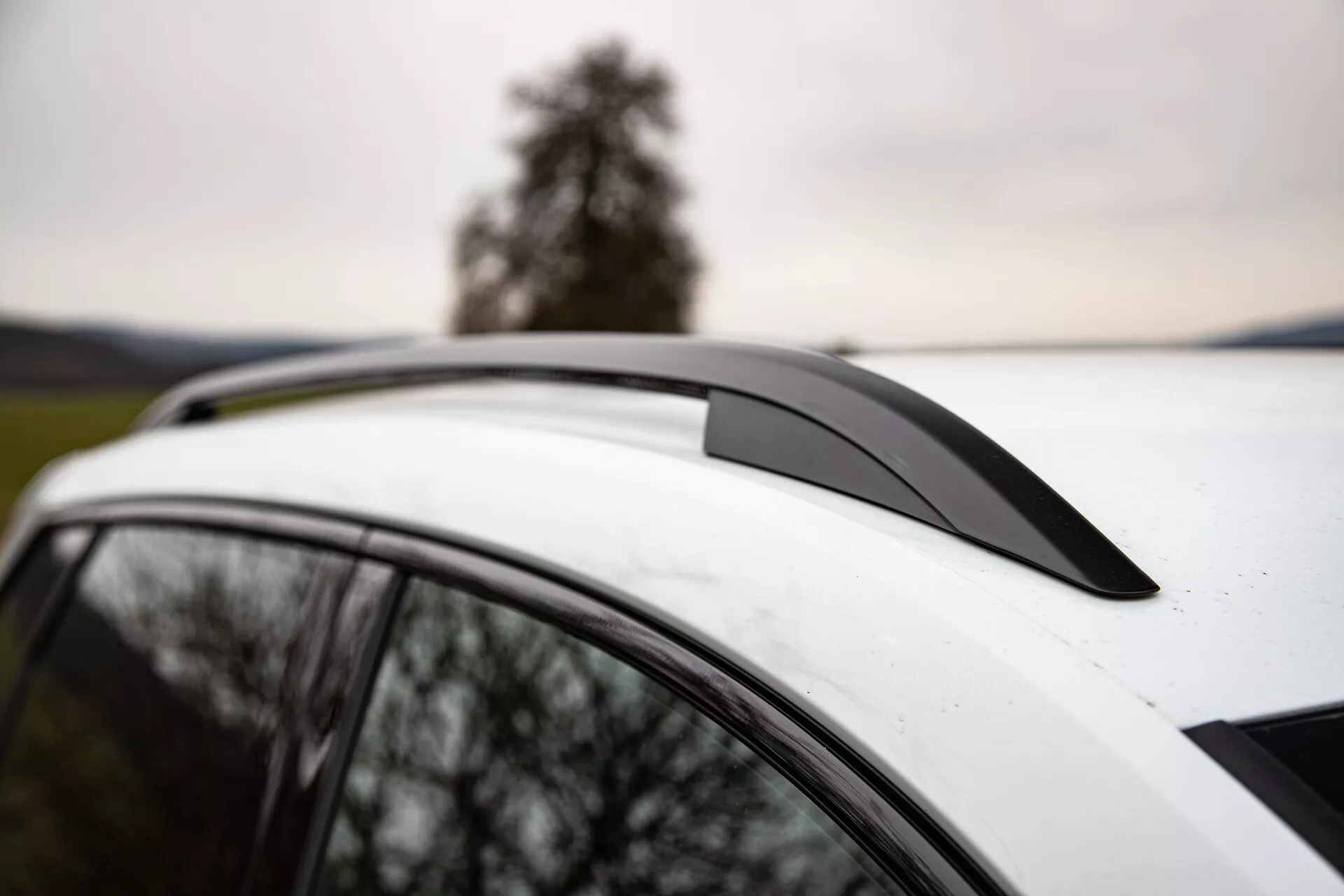 Zbliżenie na Skoda Karoq 2021 pokazujące spojler dachowy, biały dach z panoramicznym dachem przeszklonym oraz zintegrowane relingi dachowe na tle drzewa i pochmurnego nieba, podkreślające aerodynamiczny design pojazdu, luksusowe cechy oraz możliwości użytkowe.