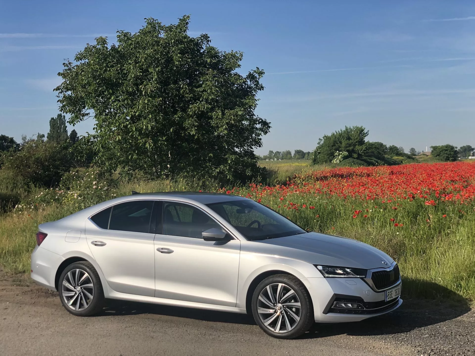 Obraz srebrnego sedana Skoda Octavia 2020, zaparkowanego ukośnie przy drodze z boku i z przodu, ukazujący nowoczesny design, opływowe kontury, wyraźny grill, reflektory LED, światła do jazdy dziennej, wieloramienne felgi aluminiowe, szyberdach, lusterka boczne w kolorze nadwozia z wbudowanymi kierunkowskazami oraz chromowane wykończenia. Tło przedstawia zielony krajobraz z czerwonymi makami i czyste niebo, sugerując wiejskie otoczenie w słoneczny dzień.