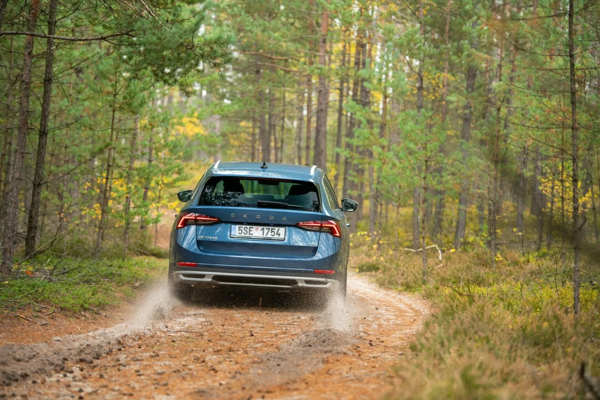 Niebieska limuzyna Skoda Octavia 2017, prezentująca tylne światła LED, wycieraczkę tylnej szyby i podwójny wydech na leśnej ścieżce z dynamicznym unoszeniem kurzu, wskazując na możliwości napędu na wszystkie koła