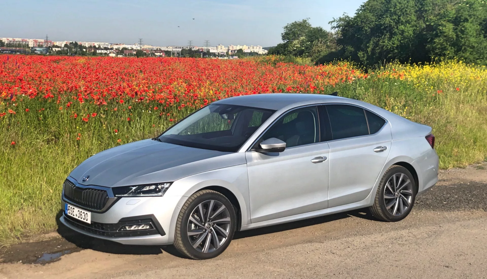 Obraz samochodu osobowego Skoda Octavia 2020 w jasnym srebrnym metalicznym kolorze, zaparkowanego na skrawku ziemi obok pola czerwonych kwiatów, prawdopodobnie maków, pod czystym niebem. Zdjęcie ukazuje cały profil auta z bocznego kąta, podkreślając jego czysty, nowoczesny design i błyszczące wykończenie. Widoczne cechy to wyraźna linia ramion, eleganckie boczne lusterka z wbudowanymi kierunkowskazami, klamki w kolorze nadwozia, wieloramienne alufelgi, cienkie reflektory LED i częściowo widoczny grill z dużym centralnym emblematem obramowanym chromowanymi lub srebrnymi akcentami. Tylne światła owijają się wokół tylnych paneli bocznych, a okna samochodu są delikatnie przyciemniane. Obraz przedstawia profil pojazdu na malowniczym tle naturalnym, podkreślając jego współczesną estetykę.