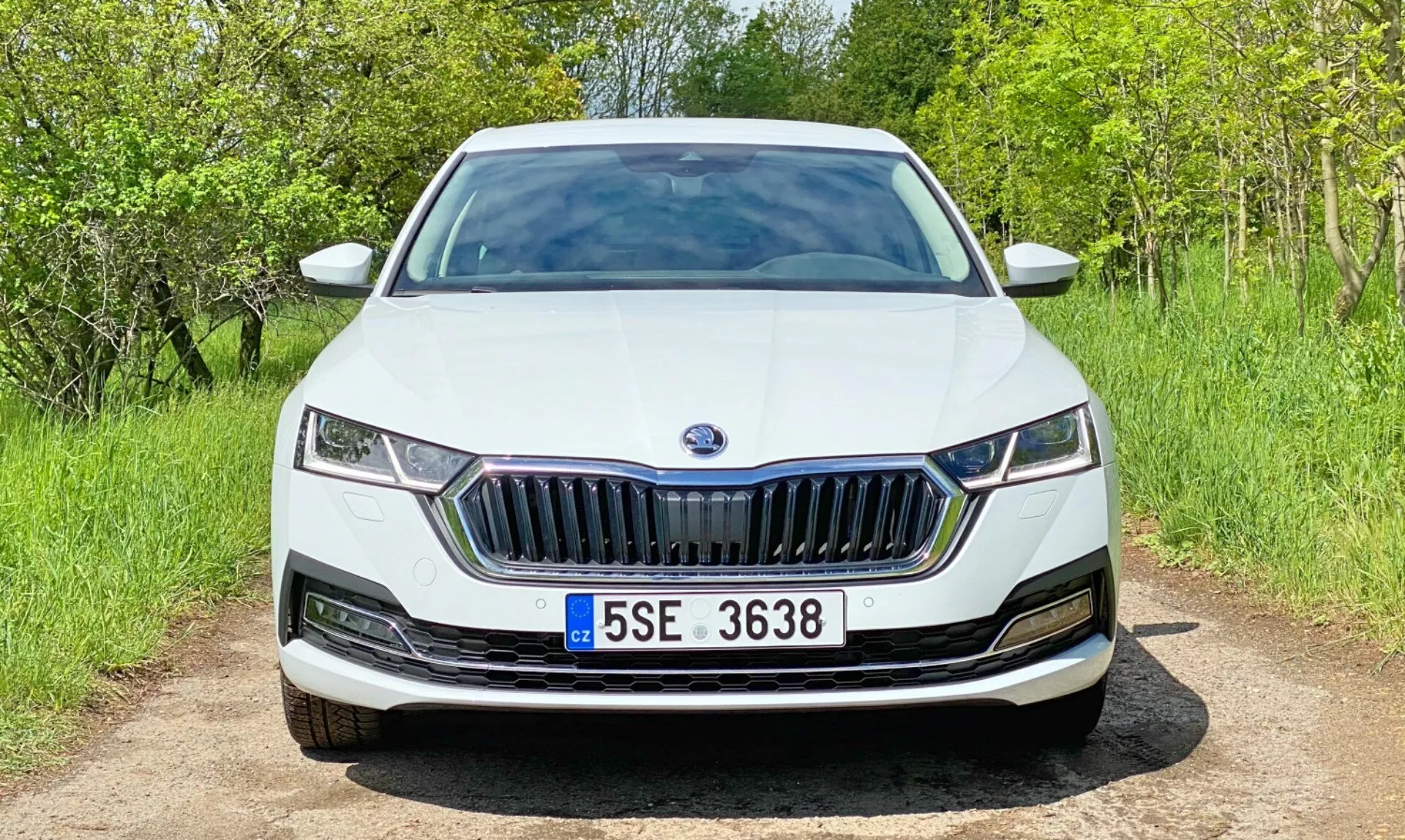 Widok z przodu białej Skody Octavia 2020 (Octavia-Limousine) na żwirowej drodze. Obraz uchwyca całą przednią fasadę, w tym charakterystyczną kratkę z pionowymi łopatkami, eleganckie reflektory LED, płynnie zintegrowany przedni zderzak i minimalistyczne dolne wloty powietrza. Maskę wyróżniają subtelne linie konturów, a emblemat producenta jest centralnie umieszczony na kratce. Samochód znajduje się w naturalnym otoczeniu z zielenią i liśćmi w tle.