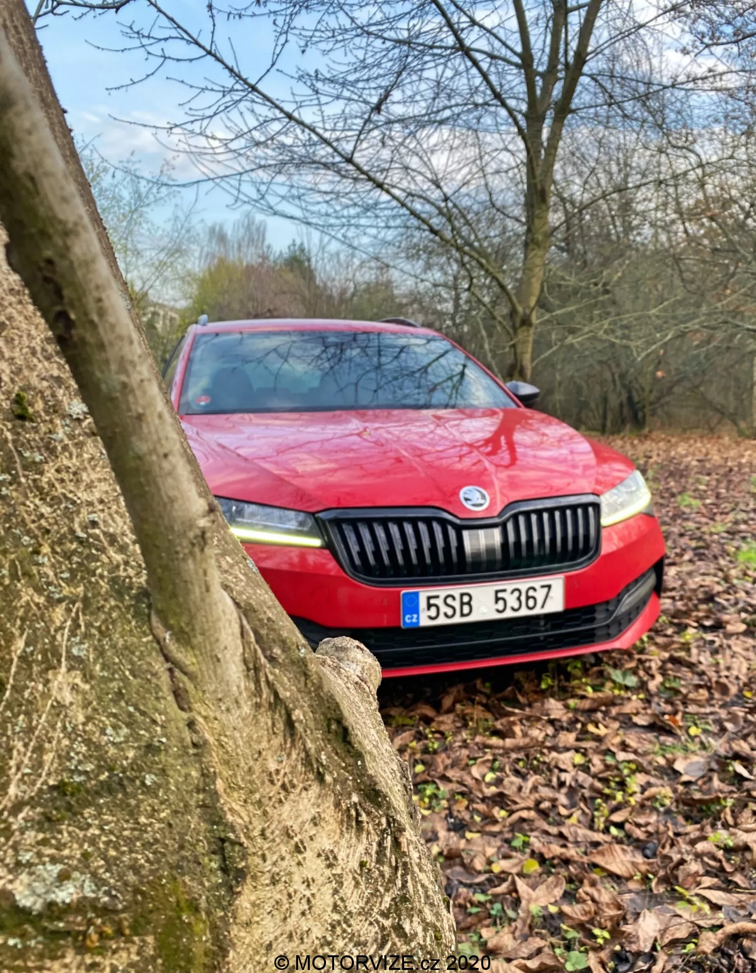 Czerwony Skoda Superb 2019 częściowo zasłonięty przez pień drzewa, widoczny pod niskim kątem ukośnym podkreślającym przednią część z grillem, reflektorami i tablicą rejestracyjną w otoczeniu zewnętrznym; stonowane kolory sugerują pochmurne warunki i prawdopodobnie niedawny deszcz